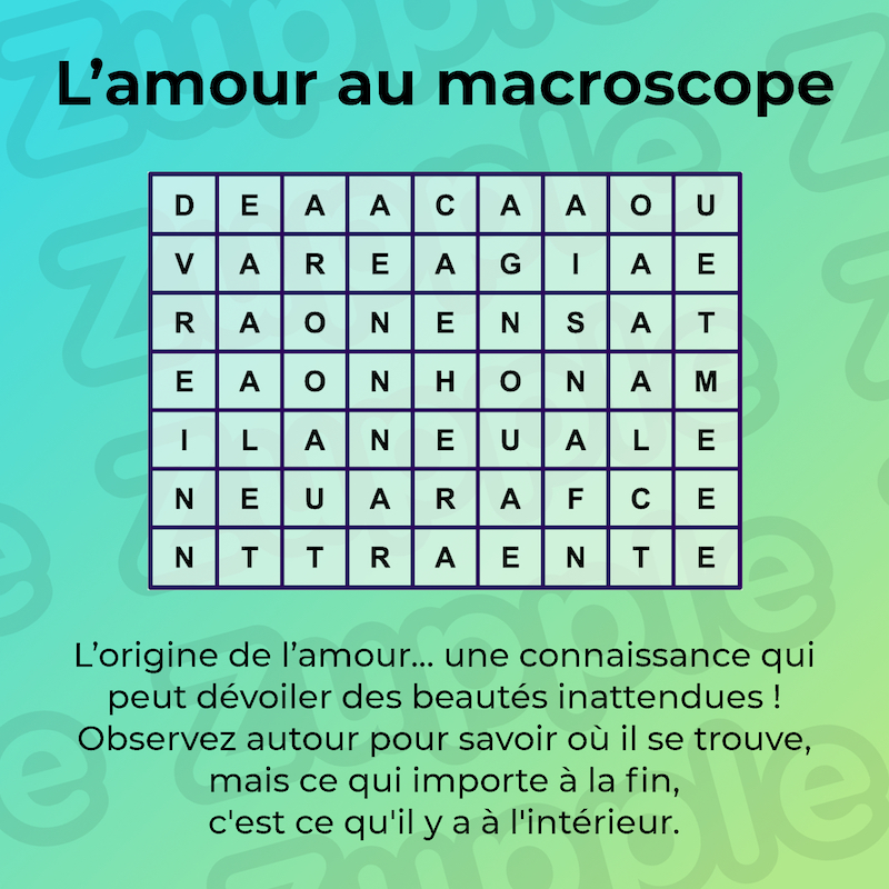 Énigme « L’amour au macroscope » : L’origine de l‘amour… une connaissance qui peut dévoiler des beautés inattendues ! Observez autour pour savoir où il se trouve, mais ce qui importe à la fin, c’est ce qu’il y a à l’intérieur. Une grille de lettres semble cacher l’autre partie de ce mystère.
